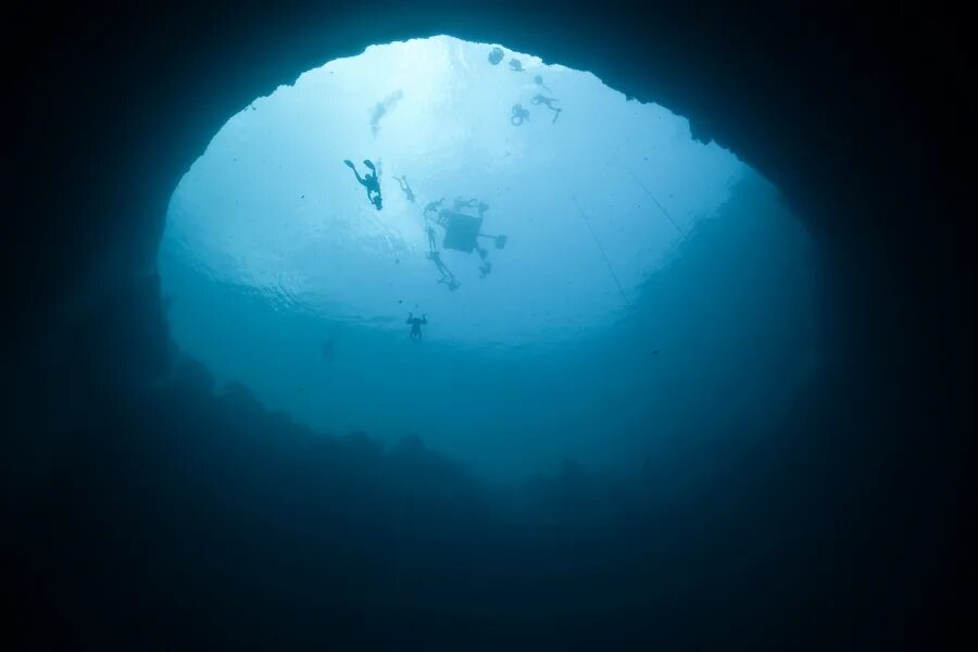 Большая голубая дыра Белиз. Большая голубая дыра, Лайтхаус-риф.