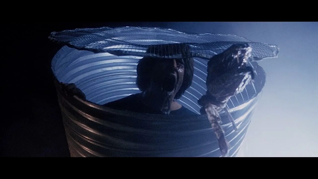 Огромный шершень с красным жалом. Проклятие 1988. Жалить 2. Азиатский шершень жало. Жалить 2.