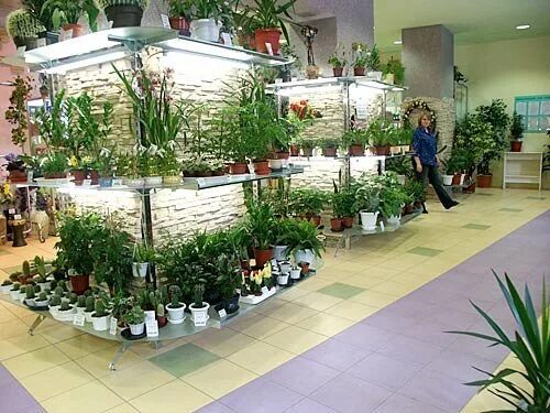 Выставка цветы заполярья. Цветы заполярья мурманск. магазин цветы заполярья мурманск. растения заполярья.
