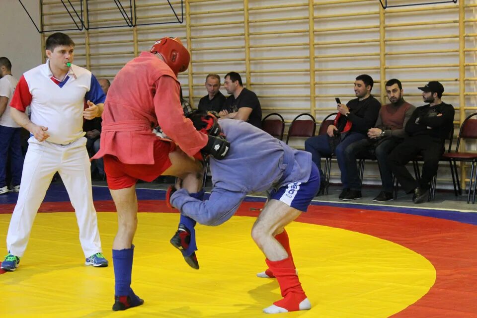 Самбо таганрог. Соревнования самбо самойловка. Самбо таганрог. Самбист георгий ростов на дону. Криворучко таганрог самбо.
