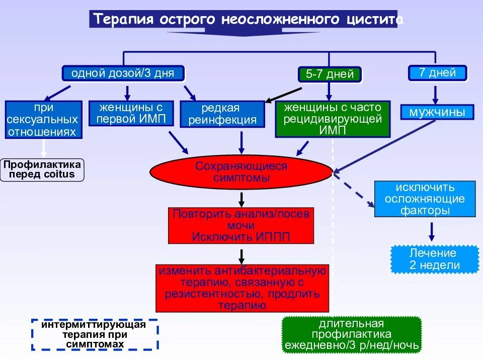 Воспаление мочевыводящих путей у женщин. Цистит механизм развития. инфекция мочевых путей патогенез. инфекция верхних мочевых путей этиология. острый цистит имвп.