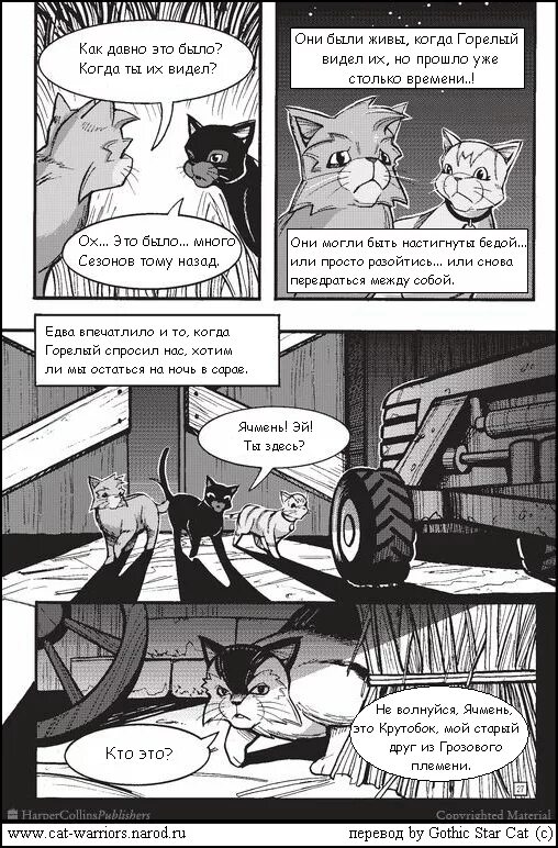 Коты воители рассвет кот. Манга трилогия о крутобоке. Коты воители смерть крутобока. Эрин хантер коты воители. Эрин хантер коты воители.