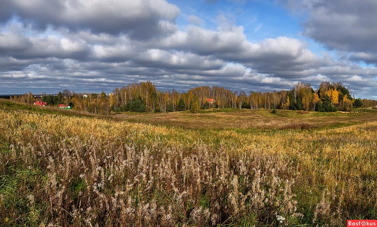 река луга реки ленинградской области.