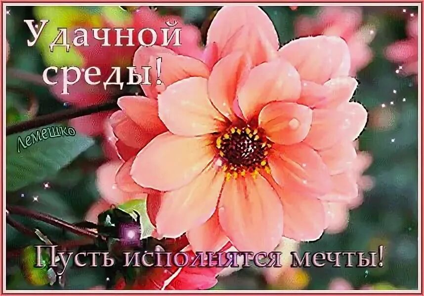 Открытки с добрым утром среды. Открытки с фруктами и пожеланиями. Открытка вкусной среды. Среда августа картинки с надписями. Среда августа картинки с надписями.