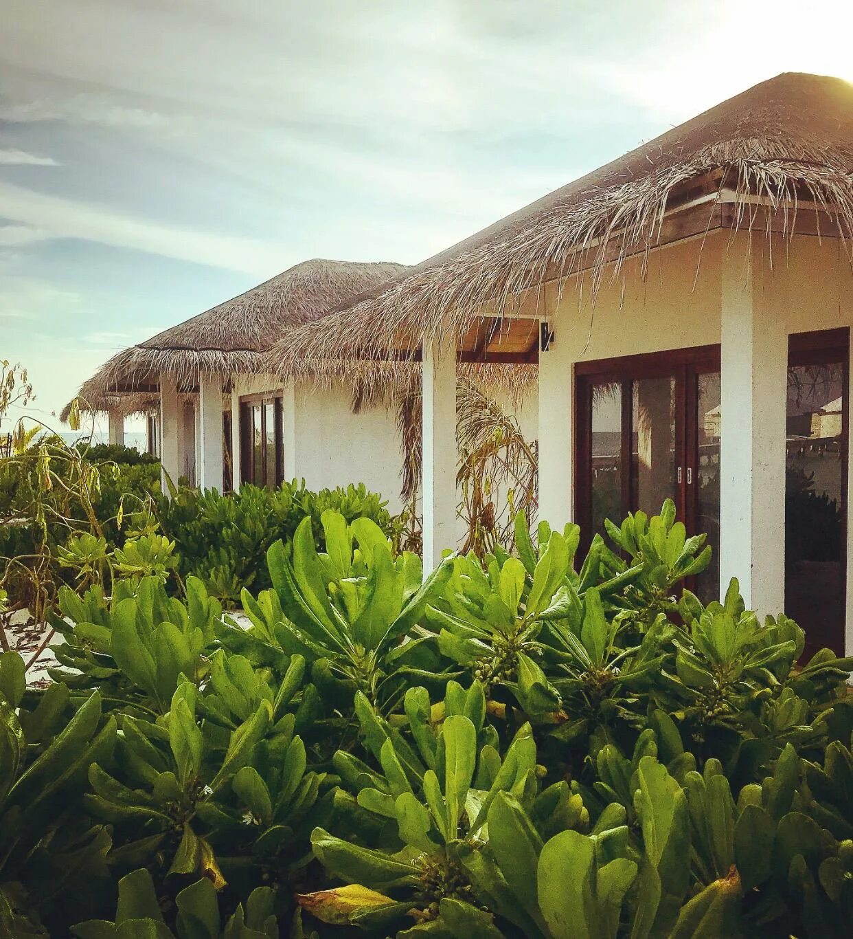 Cocogiri island resort. Coco bodu hithi 5*. Cocogiri island resort maldives 4 **** (ваву атолл). Cocogiri island resort maldives 4. Dhigufaru island resort maldives.