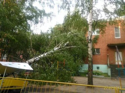 Погода в семибратово ярославской