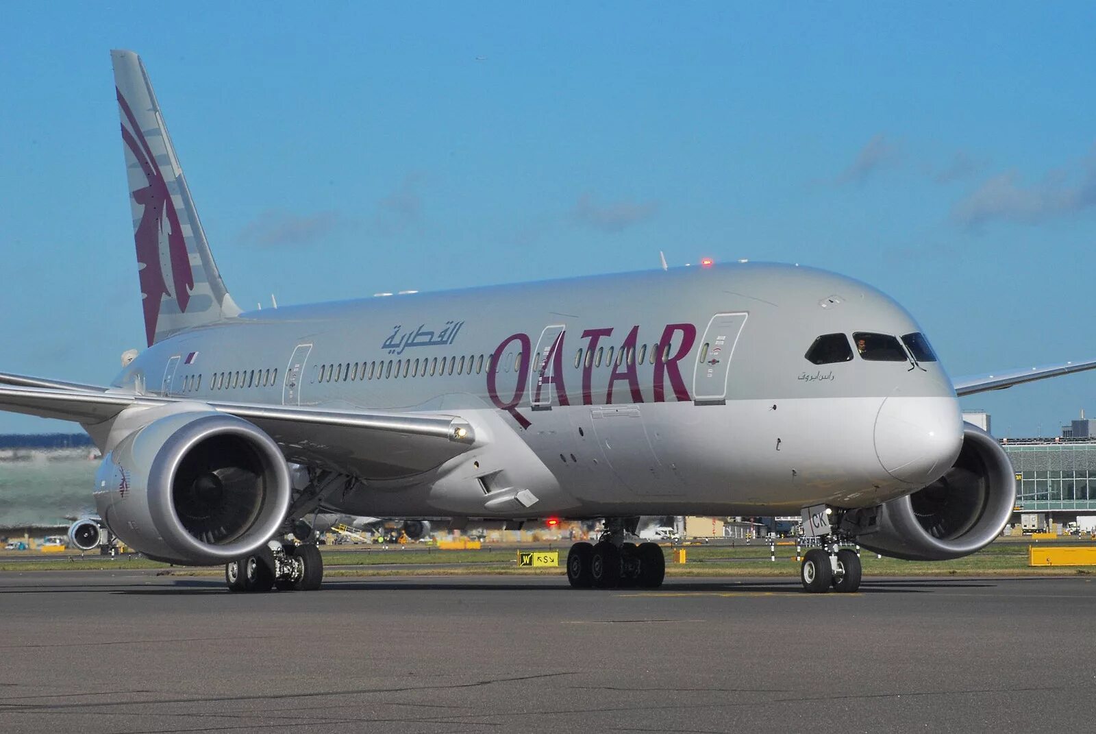 Катар дав. Боинг 787-8. Боинг 787 Дримлайнер. Боинг 787-8 Qatar. Boeing 787 Катар.