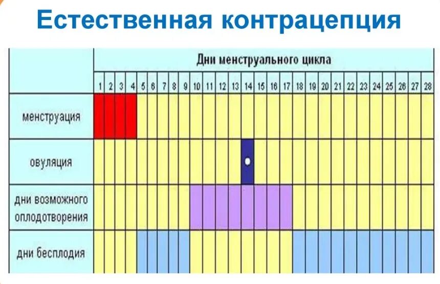 Через сколько должен. Как считать цикл месячных. Календарный метод предохранения. Возможность забеременеть по дням цикла. Безопасные дни.