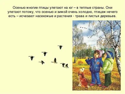 Птички улетели в теплые края вид предложения