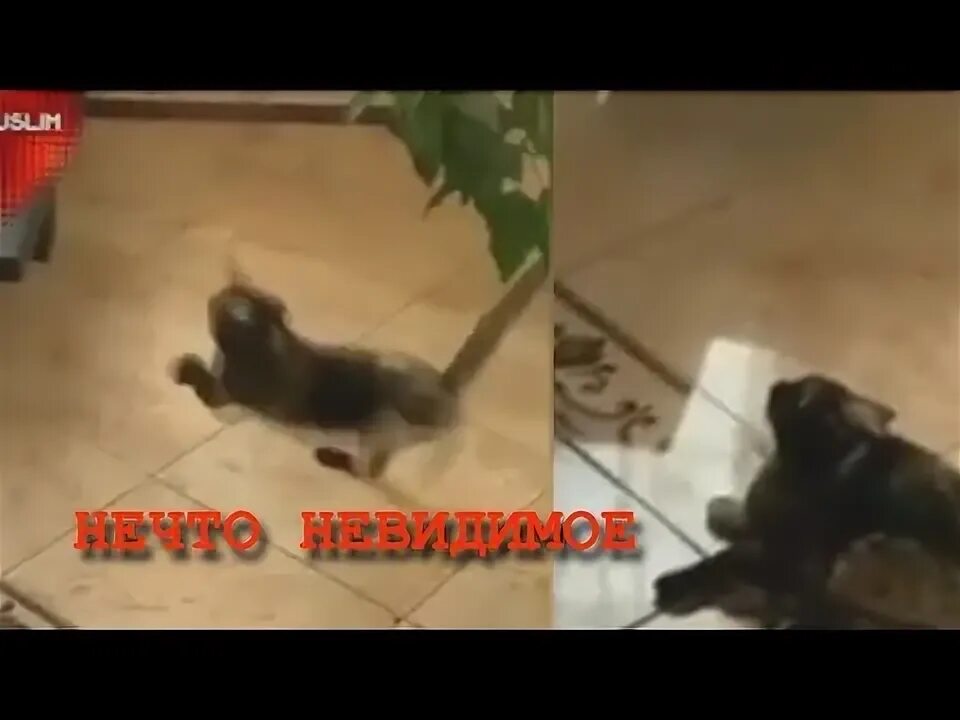 Нападают незаметно. Уличные кражи. Нападают незаметно. Нападают незаметно. Уличные кражи.