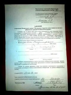 Заместитель председателя участковой избирательной комиссии