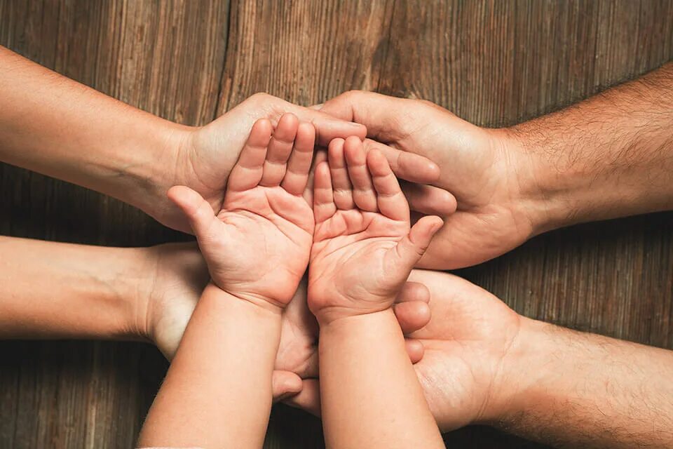 Семья руки. Ладони семьи. Фото рук семьи. Семья любовь руки. Handed family