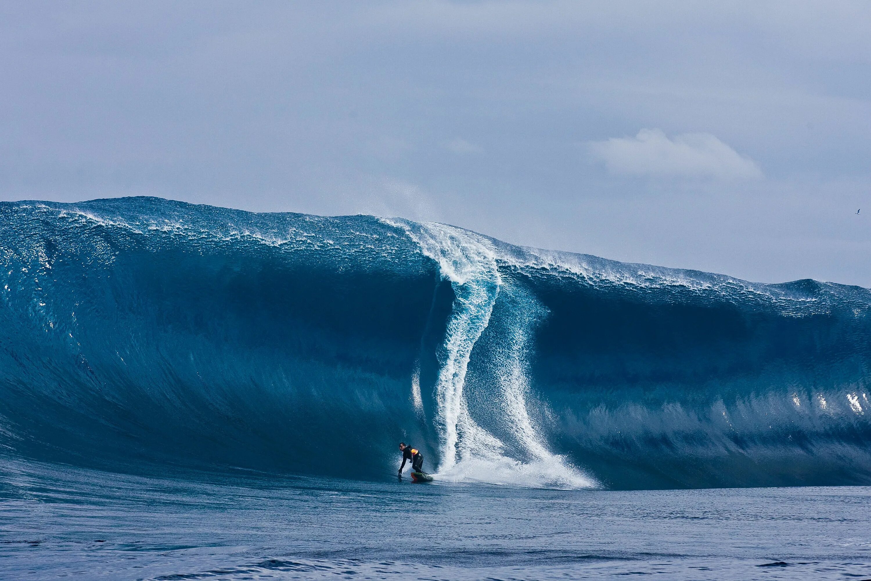 Самая высокая волна. Серфинг гигантские волны. Самые опасные волны. Самые большие волны для серфинга. Самая огромная волна убийца.