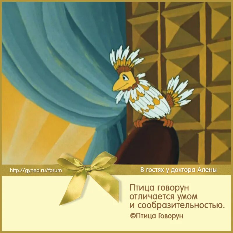 Отличается сообразительностью. Птица говорун отличается умом и сообразительностью. птица говорун оличаеться у мом и сооброз. держаться нету больше сил птица говорун.