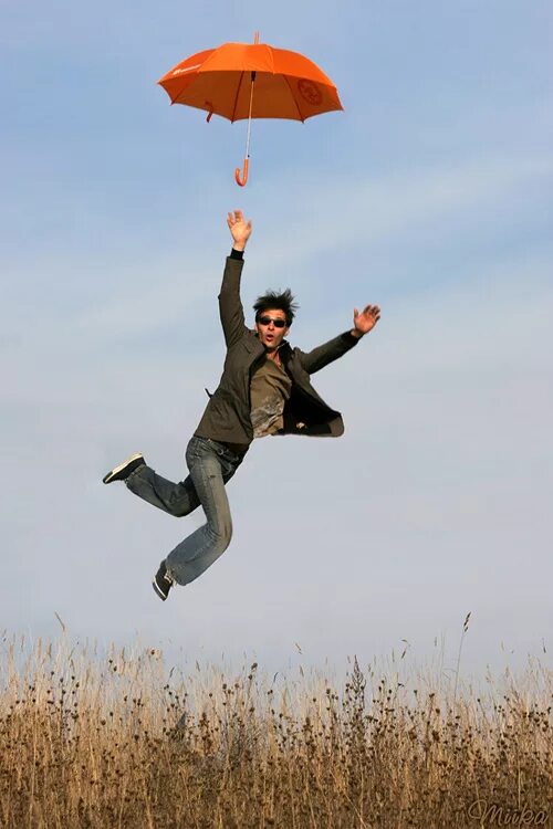 пейзаж с самолетом. летай под. летающий зонтик. логотип летай мобильная связь. логотип летай мобильная связь.