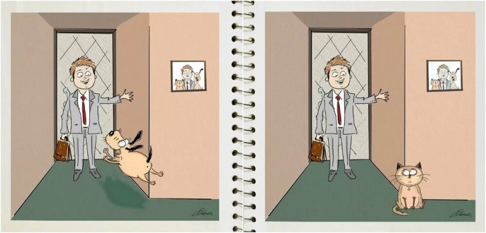 разница между кошкой и собакой