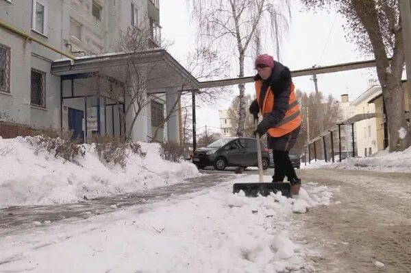 Плохая уборка дворов. Плохая уборка дворов. Деревья во дворе без снега зимой. Муниципальная милиция ижевск. Плохая уборка дворов.