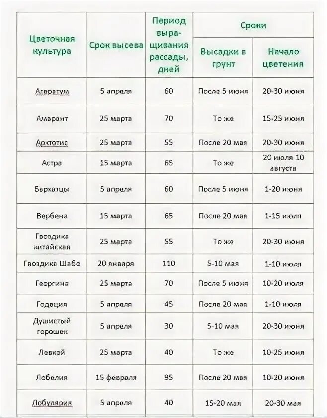 Семена какое число