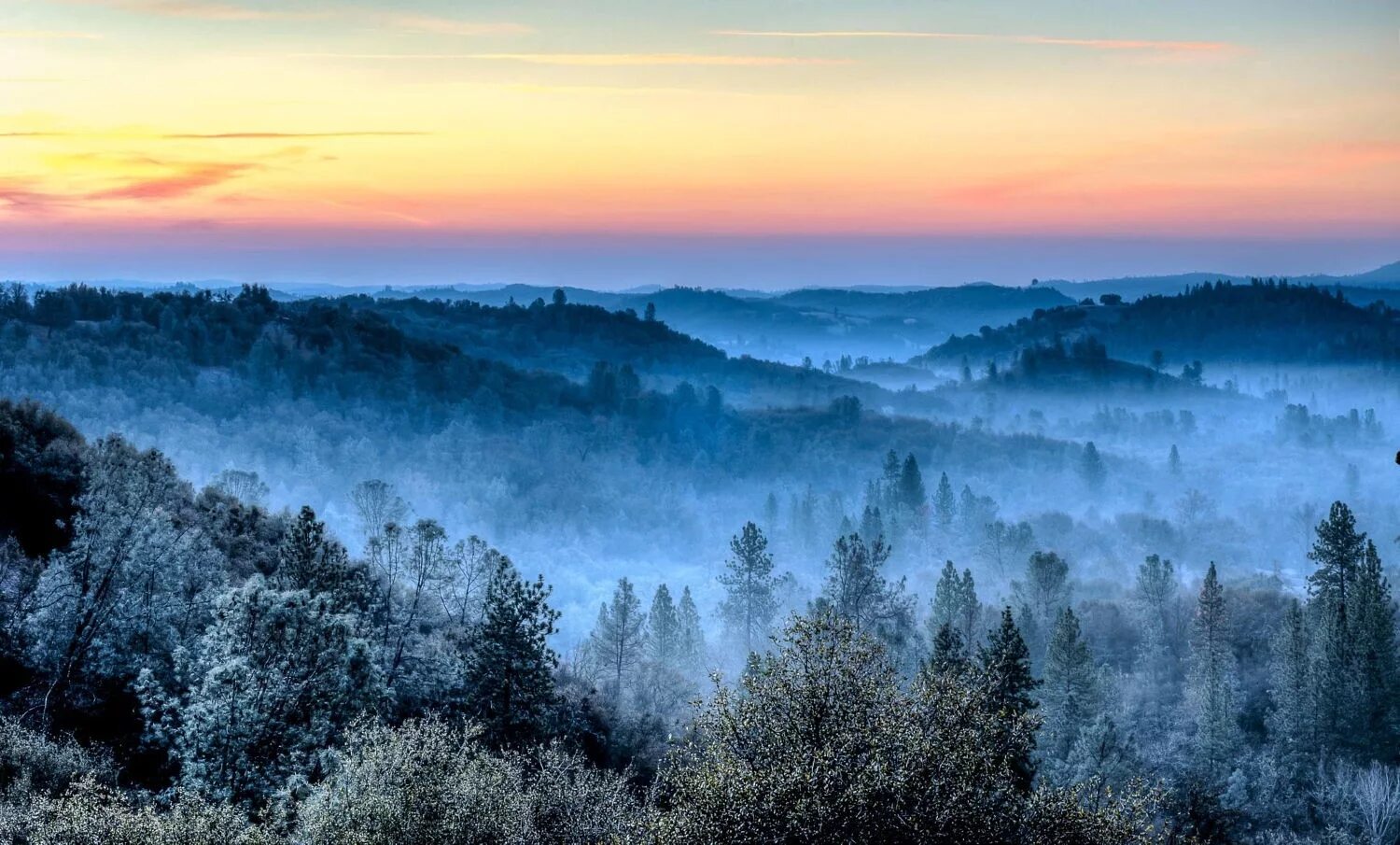 Холодные холмы. Природа Форкс из сумерек. Пейзажи из сумерек. Сумерки пейзаж. Лес в сумерках горы и туман.