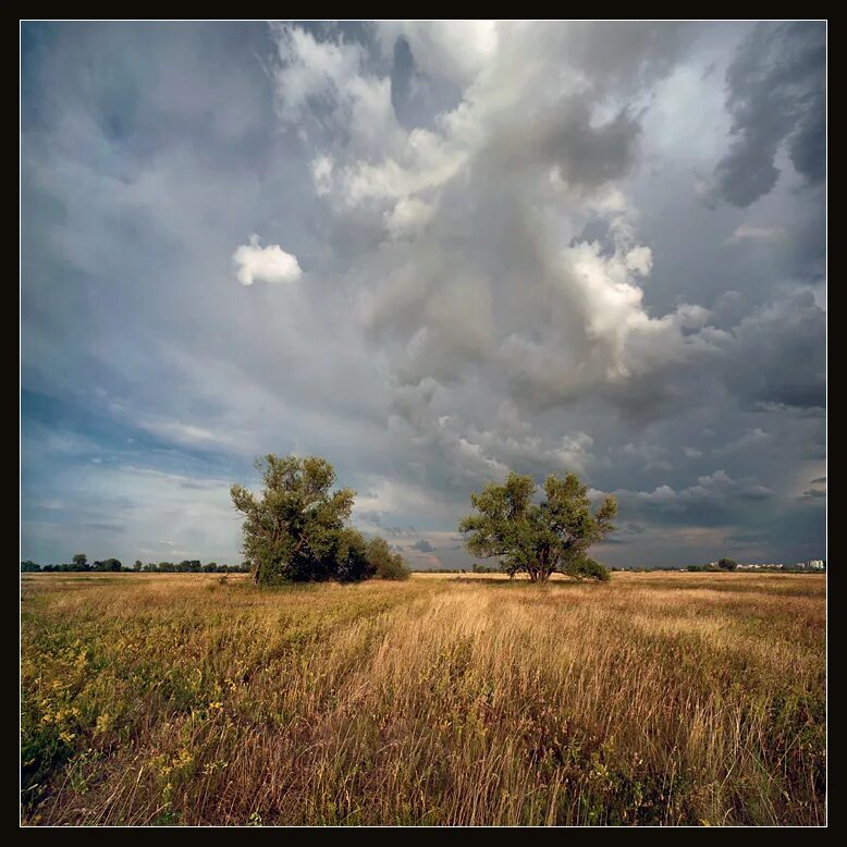 небо хмурится и сверкают в степи. перистые когтевидные облака. дождь в степи. пасмурный пейзаж. небо хмурится и сверкают в степи.