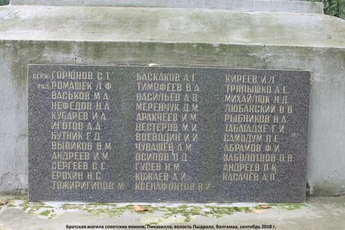 Братская могила воинов, памятник, мемориал, Киевская область, Вышгородский район