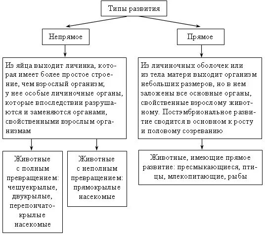 Чем отличается прямое и непрямое развитие. Индивидуальные развития прямое и непрямое развитие. типы индивидуального развития прямое и непрямое развитие. прямой и непрямой типы постэмбрионального развития. типы постэмбрионального развития схема.