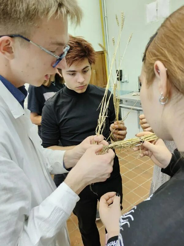 Пиму кафедра химии. Беларусь государственный университет химический факультет. Кафедра аналитической химии. Пиму кафедра химии. Физико-химический кафедра.