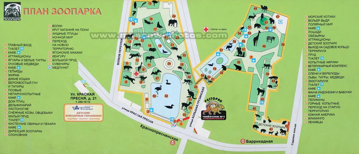Зоопарк москвы схема расположения животных Карта зоопарка москва блог Санатории Кавказа