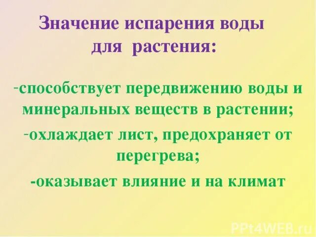 Транспорт веществ и испарение воды у растений. Значение испарения воды листьями. Значение испарения. Значение испарения воды для растений.