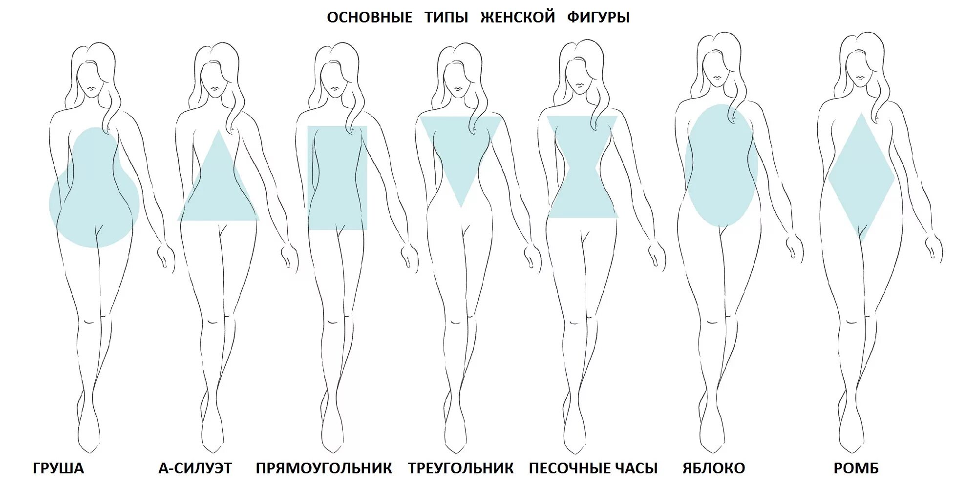 Какая может быть фигура описание. Типы фигур у девушек. Типы фигур у девушек как определить. Как определить Тип телосложения у женщин. Телосложение женщины рисунок типы.