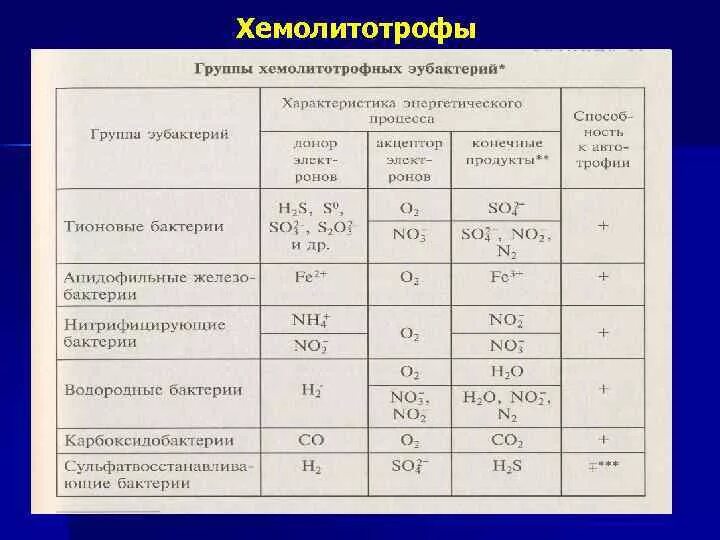 Источники энергии бактерий. Хемолитотрофы примеры бактерий. Хемолитотрофные бактерии примеры. Хемолитотрофные бактерии хемоорганотрофы. Хемолитотрофный метаболизм..