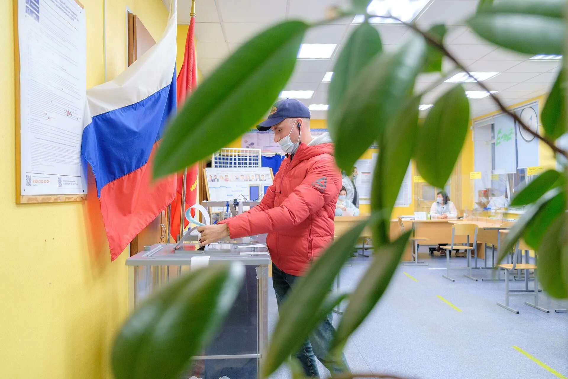 Где проголосовать в петербурге. Выборы СПБ. Муниципальные выборы СПБ. Выборы губернатора СПБ 2024. Голосование СПБ явка.