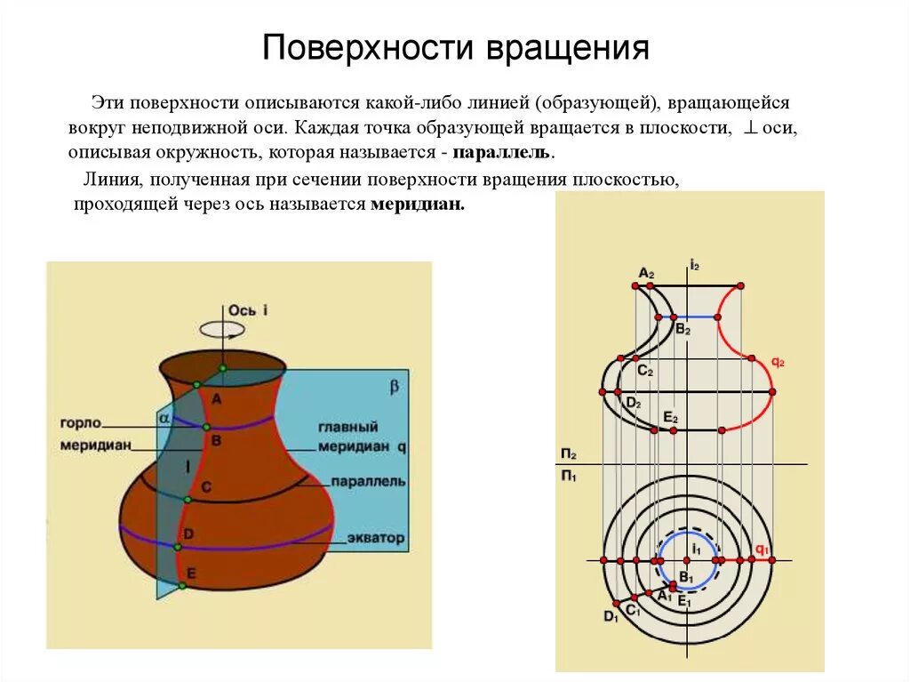 Параллель поверхности вращения это. Плоскость вращения Начертательная геометрия. Поверхности вращения примеры. Основные элементы поверхности вращения.