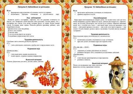 Ноябрь средняя группа