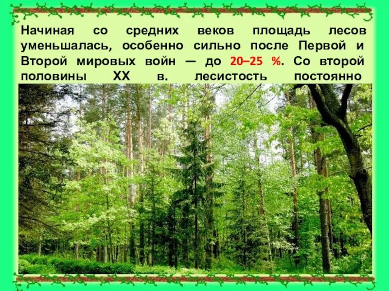Интразональная растительность