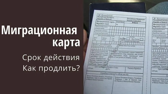Потерян миграционном карте
