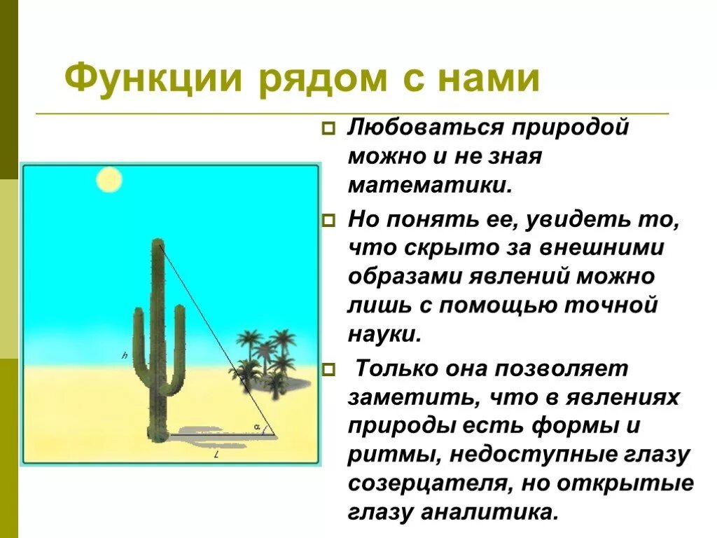 Практическое применение функции. Функции в природе и технике. Применение функций в природе. Математические функции в природе. Функции рядом с нами.