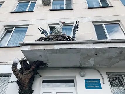 Роддом севастополь