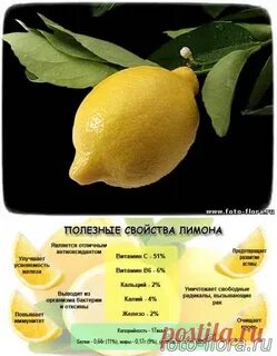 Лимон свойства и противопоказания
