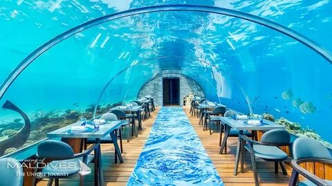 Below the sea