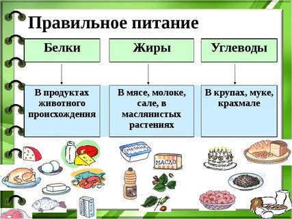 Пример углеводов и белков