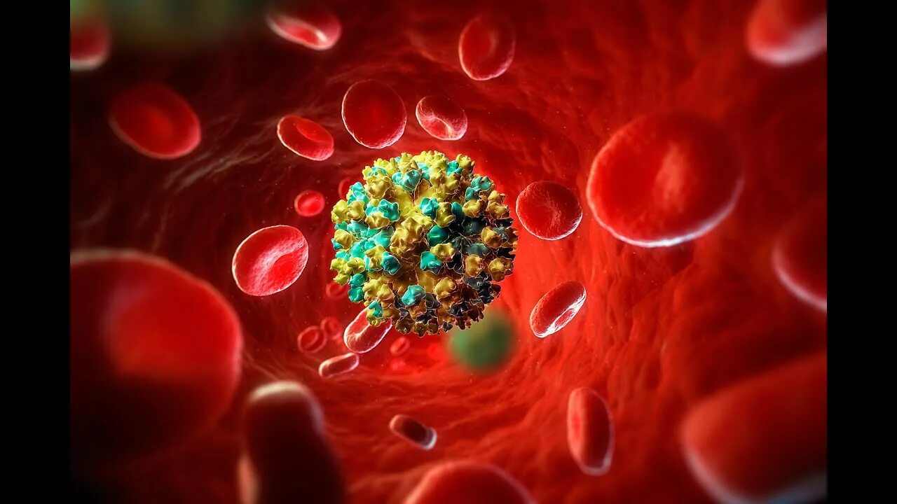 Hcv c