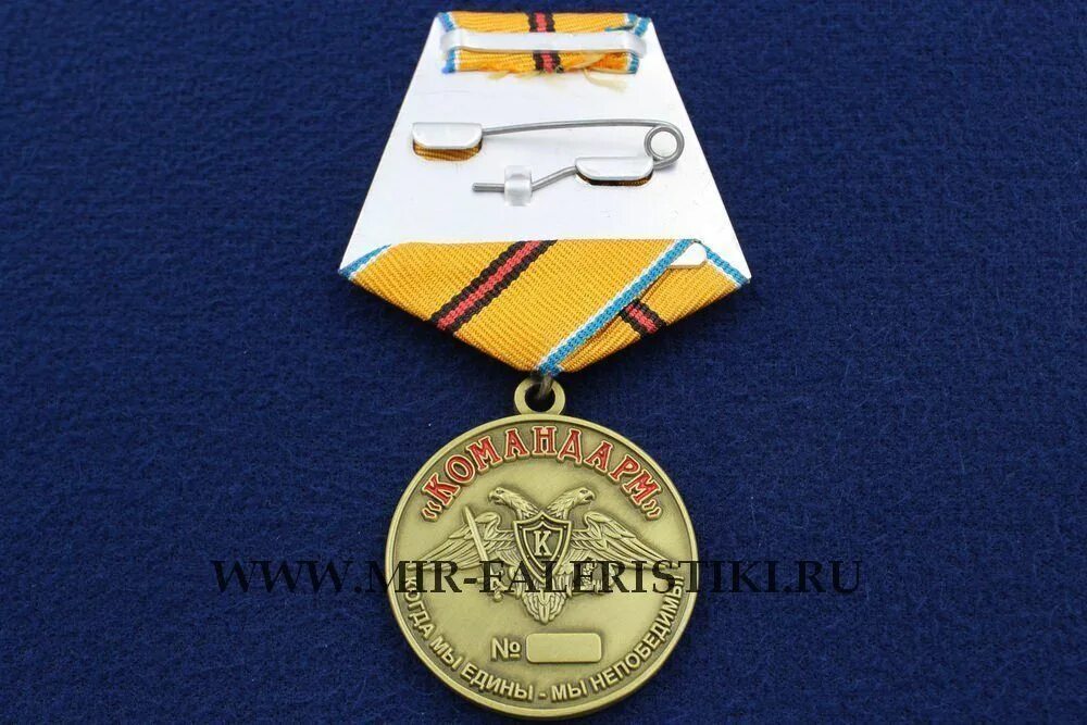 Медаль 100 лет военному. Медаль 100 лет южному военному округу. Медаль 100 лет военным комиссариатам. Медаль за 100 лет военной разведке. Буденный с медалями.