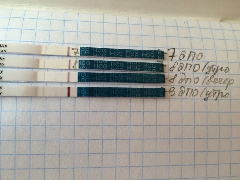 Тест на беременность днем. Тестомания ивантеевка. Тестомания при планировании беременности. Тестомания при планировании беременности. Розовые выделения при овуляции.