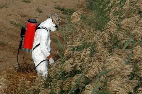Загрязнения удобрениями