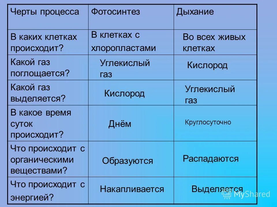 В какое время суток происходит процесс. Клеточное дыхание у растений таблица. дыхательный процесс в клетках растений. черты процесса фотосинтез. черты процесса дыхания растений.