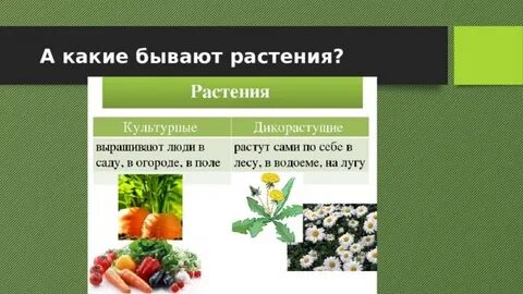 Бывает растительным