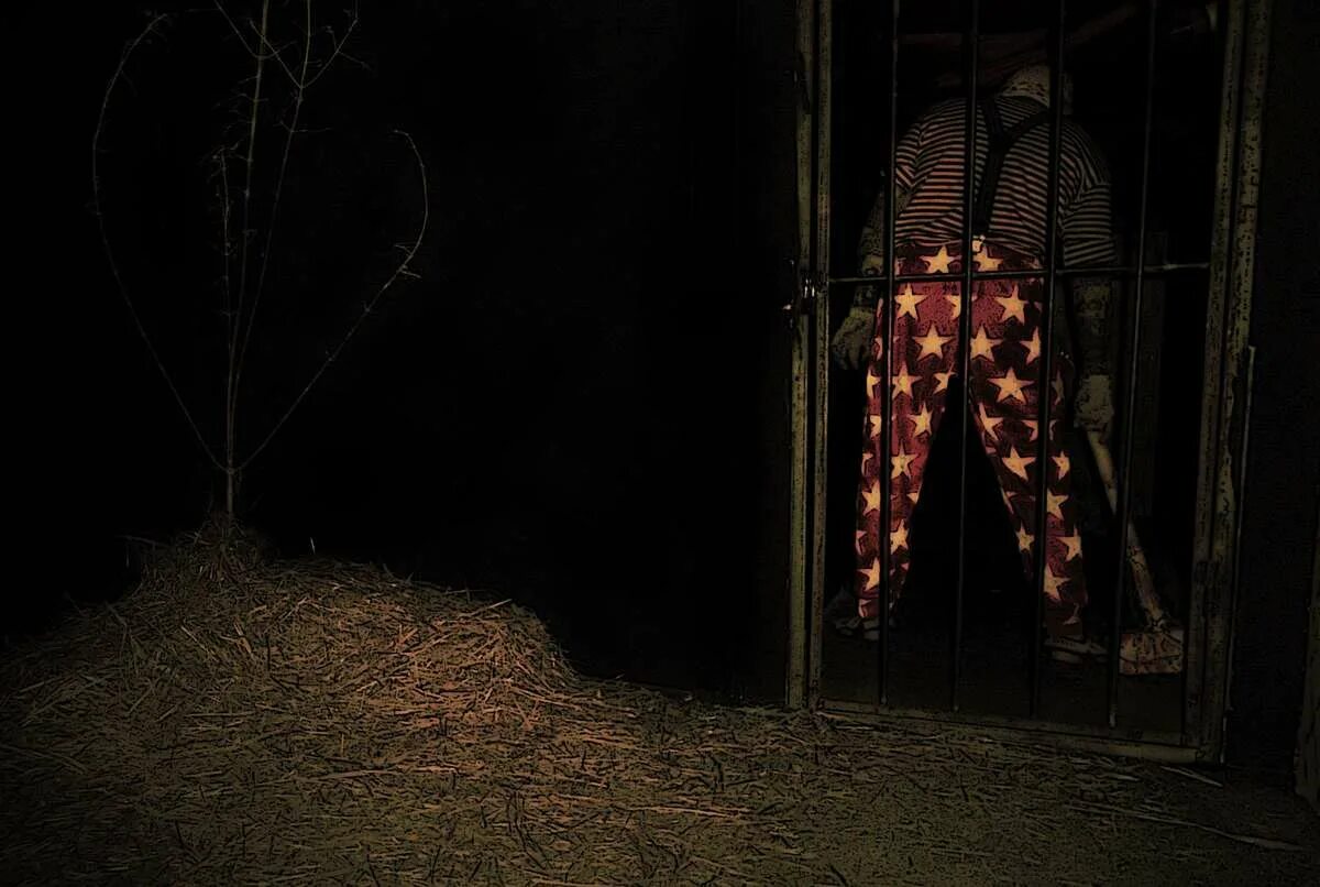 Хоррор квест иркутск. Приют 2. Хоррор квест иркутск. Хоррор квест иркутск. Изолятор квест.