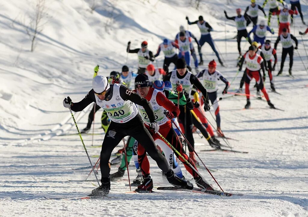 Крещенский лыжный марафон. 13 красногорский марафон. Красногорский марафон. Лыжный стадион утробина. Марафон красногорский марафон.