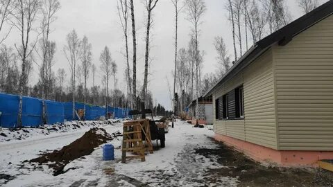 Тулун березовая роща